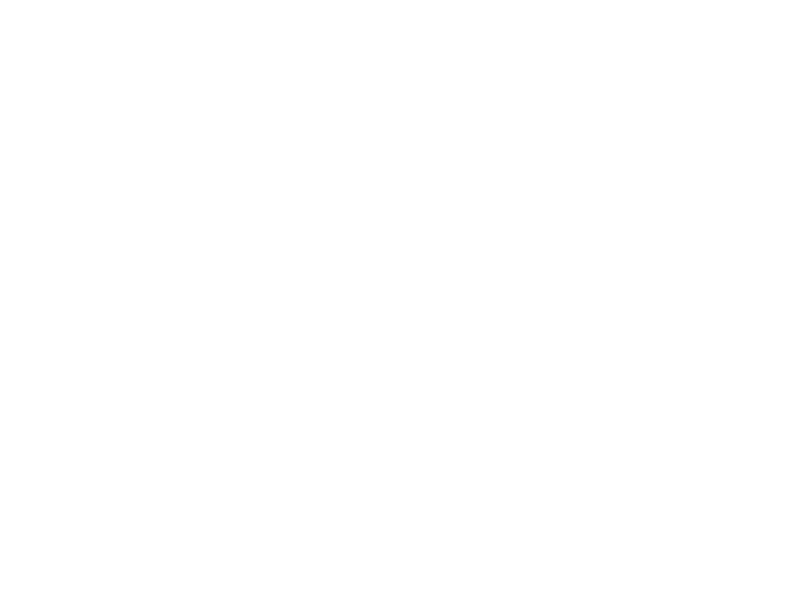 Audi Logo DTM