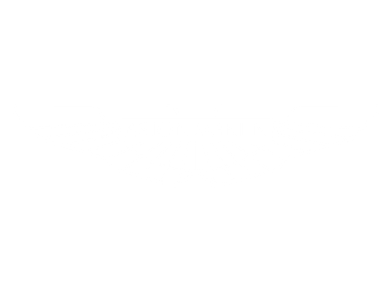 Logo Aston Martin in DTM